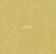 Forbo Marmoleum Marbled Fresco 3259-325935 mustard фото 1 | FLOORDEALER